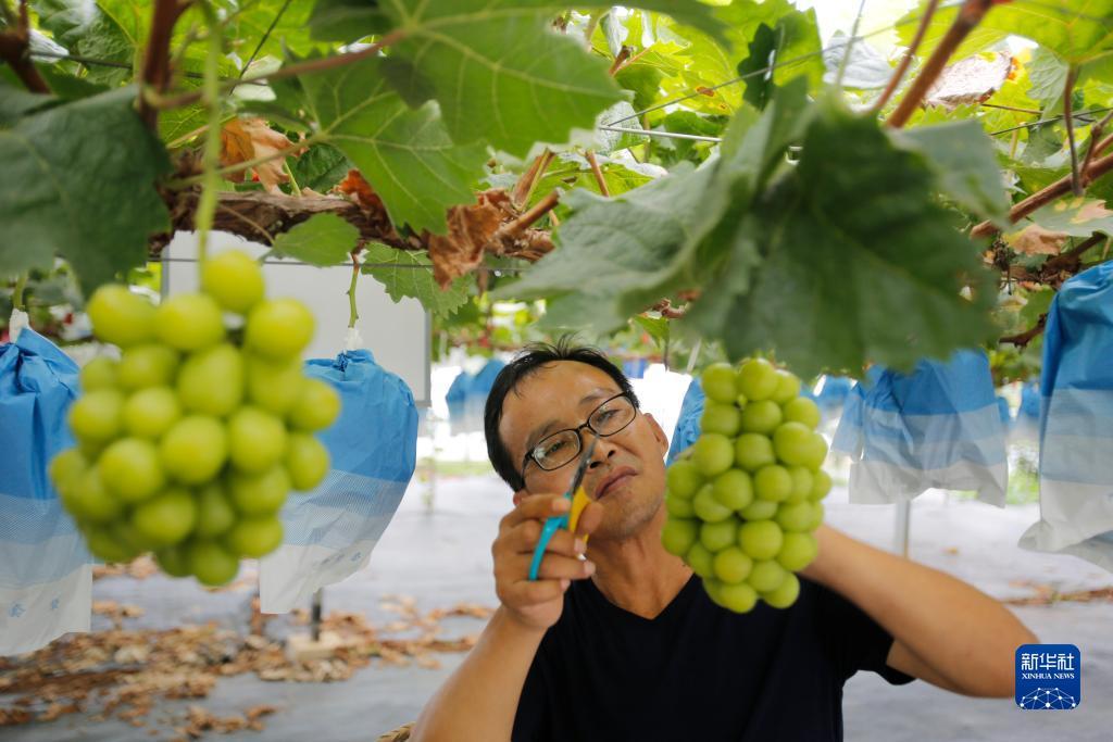 奥门皇冠游戏
